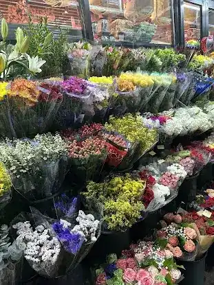 M & V Flower Shop
