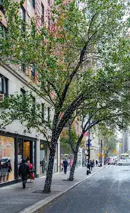 Madison Avenue Business Improvement District