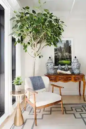 Madison Square Psychotherapy