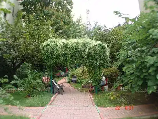 Maggie's Magic Garden