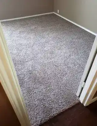 Magic Carpet Cleaning East Side