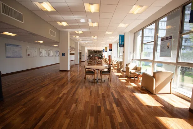 Maianti Lab, Albert Einstein College of Medicine