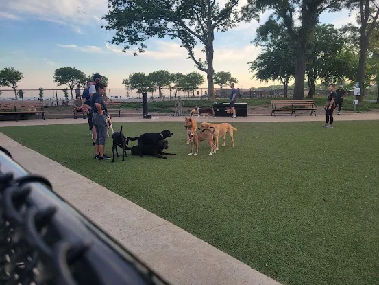 Manhattan Beach Dog Run