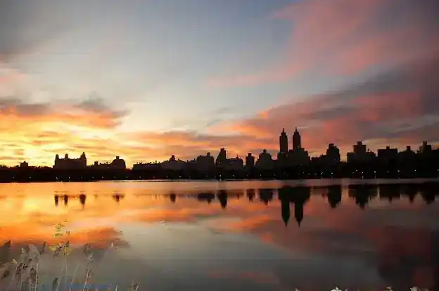 Manhattan Center for Cognitive-Behavioral Therapy