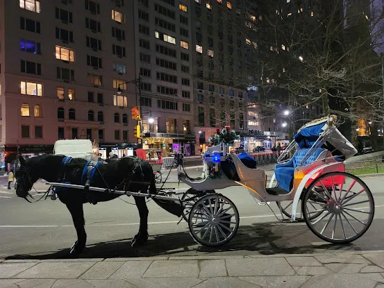Manhattan Horse