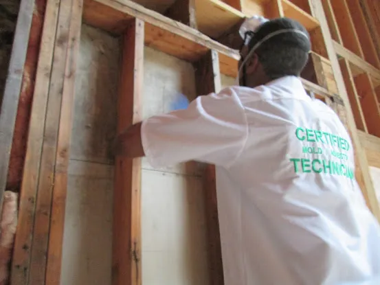 Manhattan Mold Experts- Mold Testing and Mold Removal Upper East Side