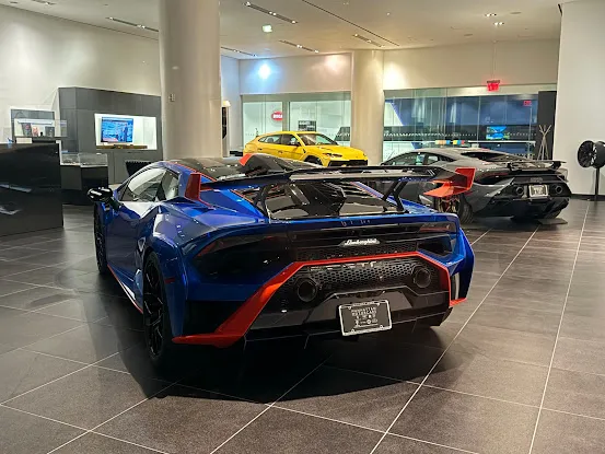 Manhattan Motorcars Inc