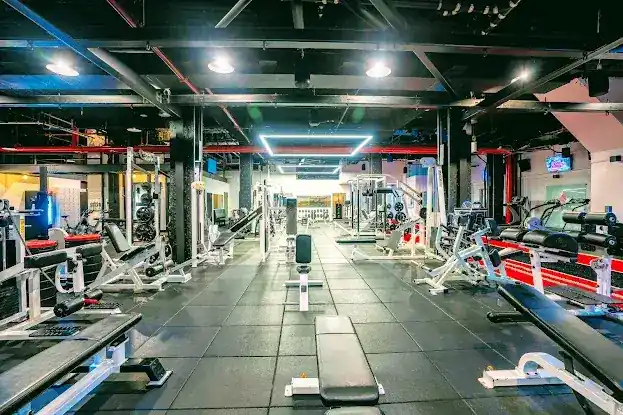 Manhattan Muscle Personal Training