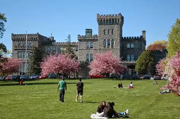 Manhattanville University