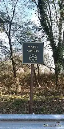 Maple Woods