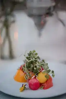 Marcey Brownstein Catering