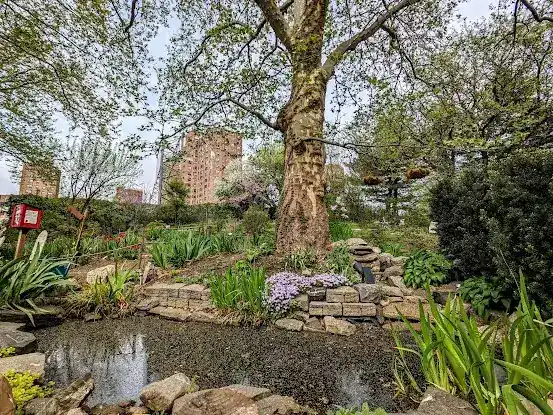 María Sola Community Greenspace