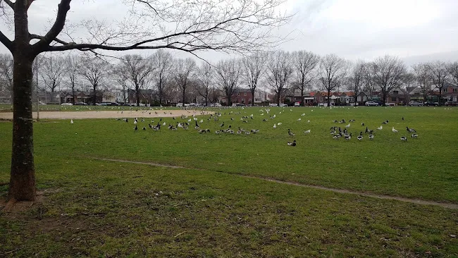 Marine Park Cricket Field