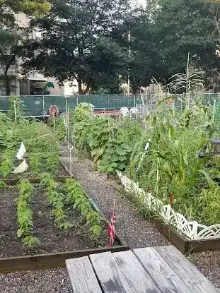 Marjorie J. Laue Community Garden