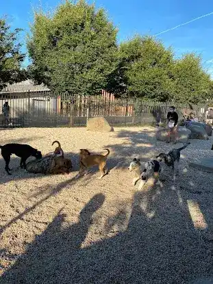 Marsha P. Johnson State Park Dog Run