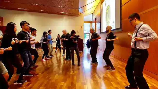 Martial Arts Education Society