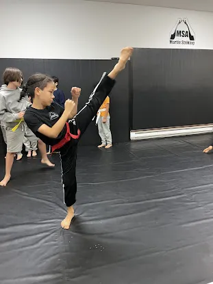 Martin Striking Academy