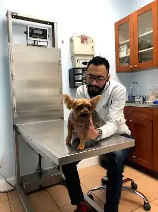 Maspeth Animal Hospital