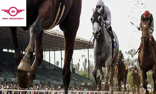 MAX HORSERACE