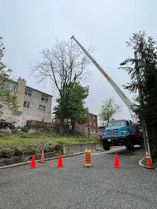 MC Greenfield Tree & landscape Service LLC