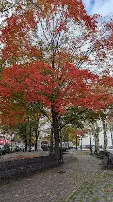 McKenna Square