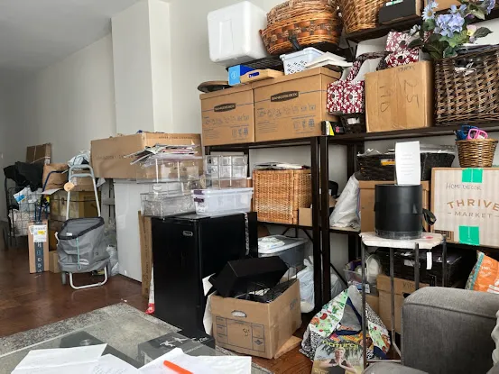 Mess No More Organizing
