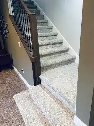 Metro Luxe Upholstery & Rug Specialists