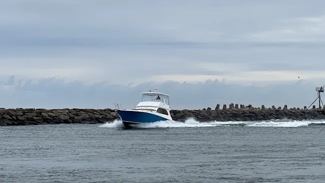 Michael's Marine Inspections, LLC