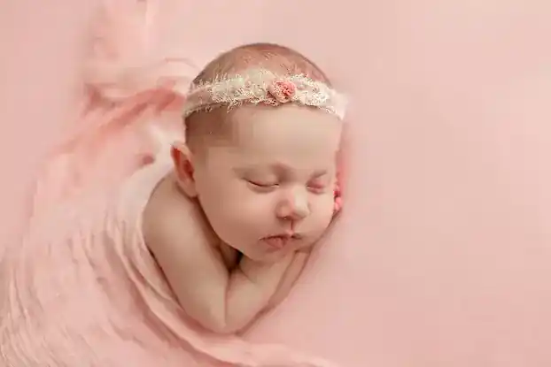 Michelle Levinson Photography