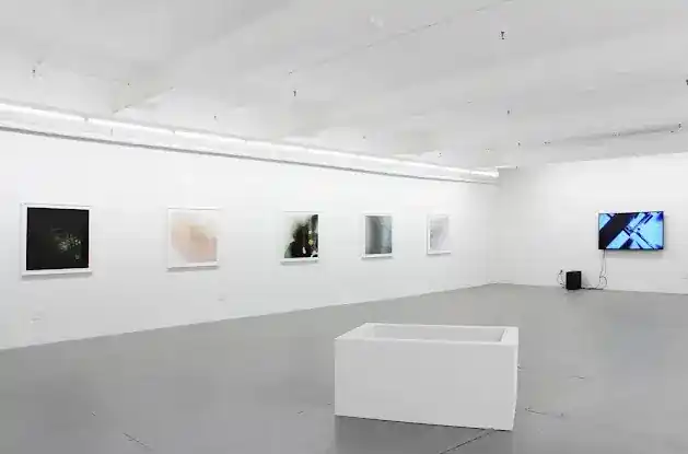 Microscope Gallery