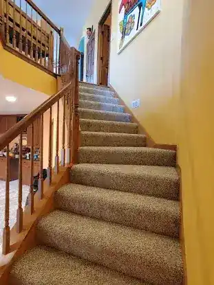 Mighty Scrubbers Rug Cleaning