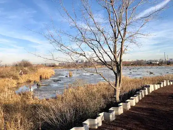 Mill Creek Marsh Trail