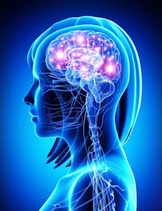 Misophonia Cognitive Treatment Center by Stephen Geller Katz, LCSW-R