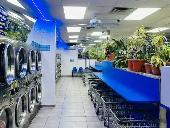 Miss Bubble Laundromat