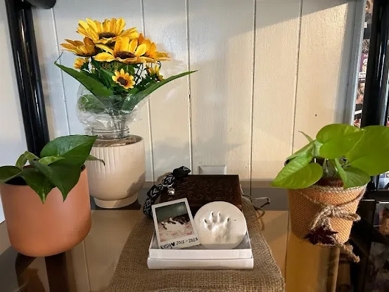 Mobile Pet Cremation Universal LLC