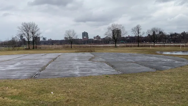 Model Airplane Field