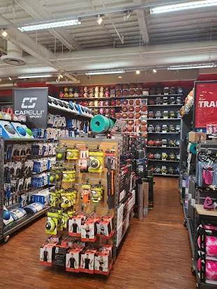 Modell's Sporting Goods