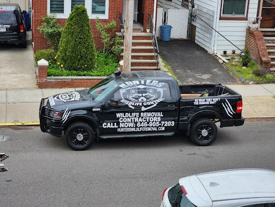 Money Car Wraps (Brooklyn, NY)