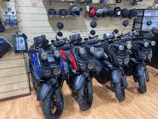 Monroe Ride Electric Bike