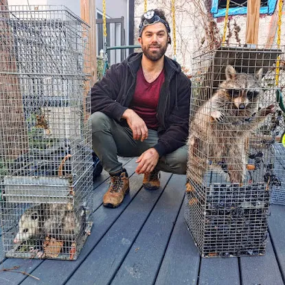 Monster Trapping and Pest