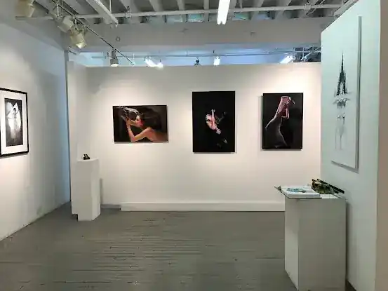 Montserrat Contemporary Art