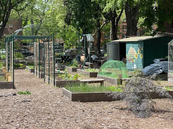 Moore Jackson Cemetery and Community Garden
