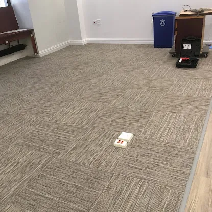More Than Carpet