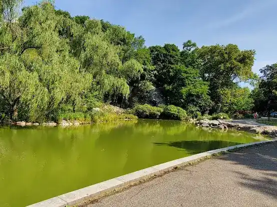 Morningside Playground