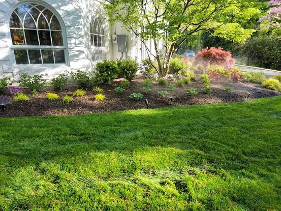 Morris & Bergen Irrigation
