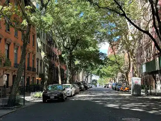 Morton Street Group