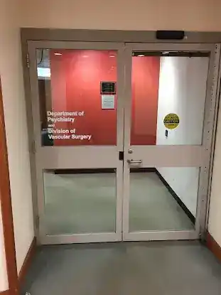Mount Sinai Division of Vascular Surgery