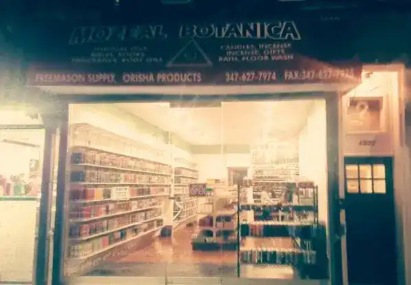 MOZEAL BOTANICA