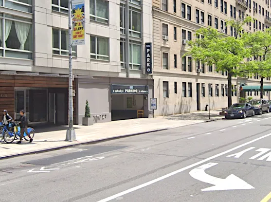 MPG: Manhattan Parking 110