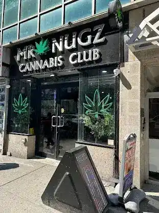 Mr. Nugz